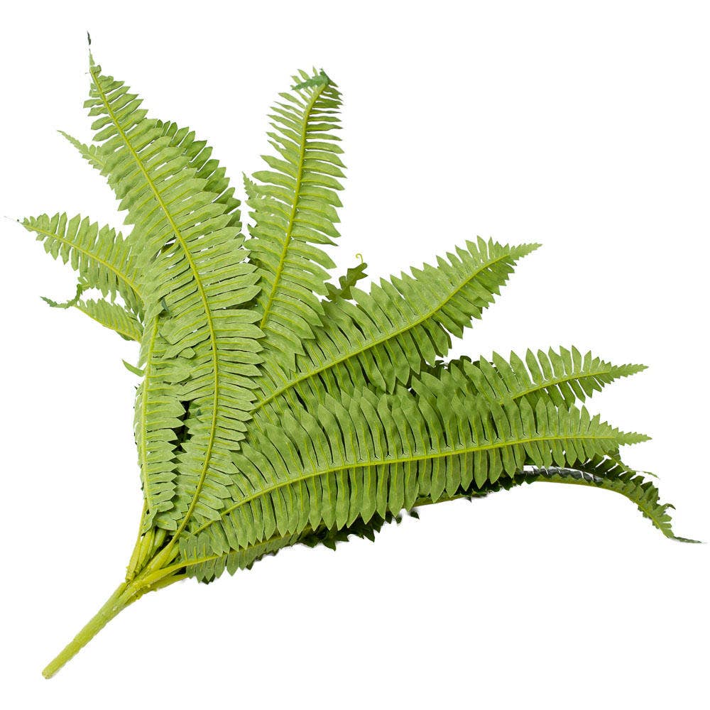 Factory Direct Craft - Wholesale Artificial Plant - 26" Natural Look Artificial Boston Fern Bush5
