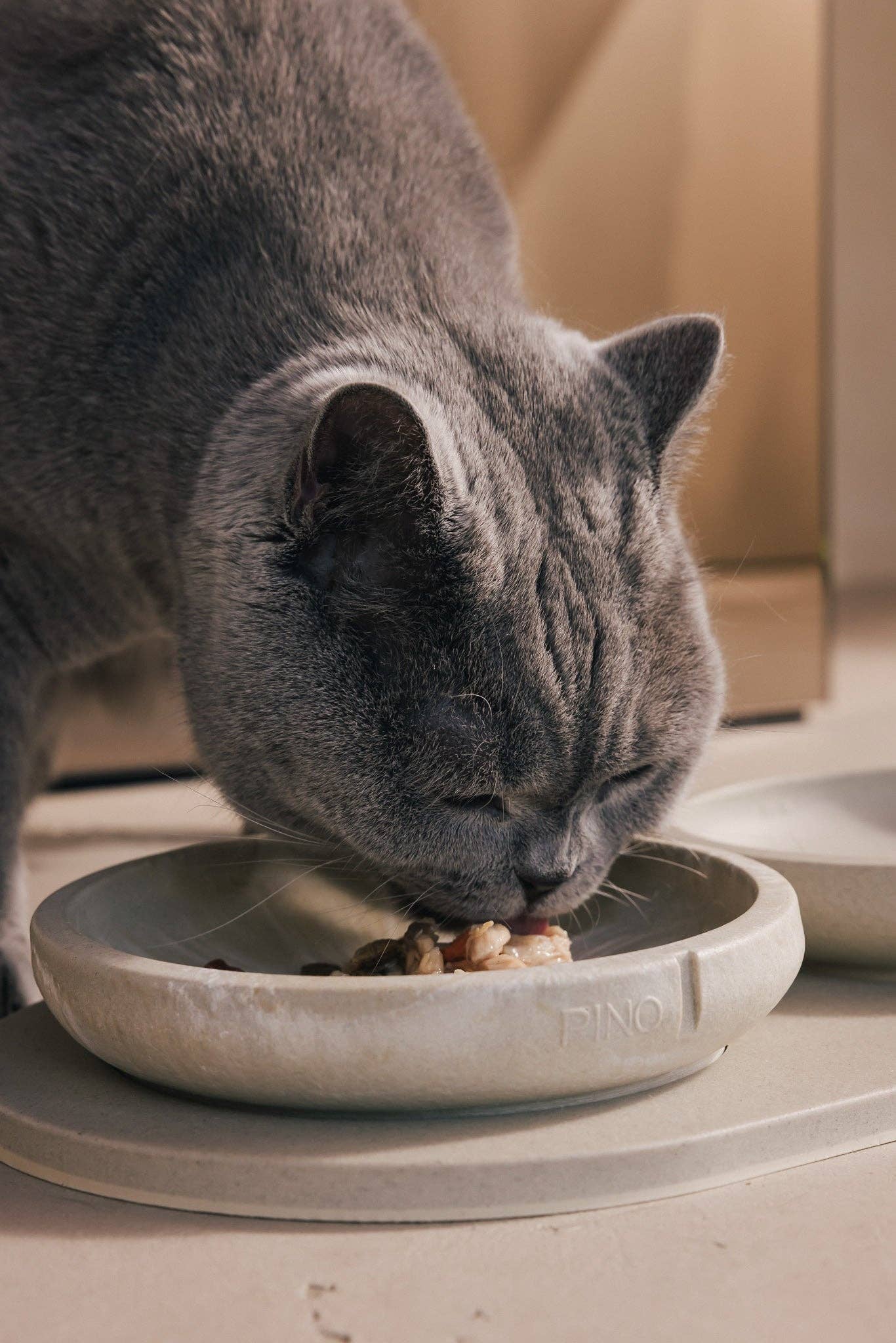 PINO - Wholesale Pet Bowl - Cat - Whisker Friendly Bowl10