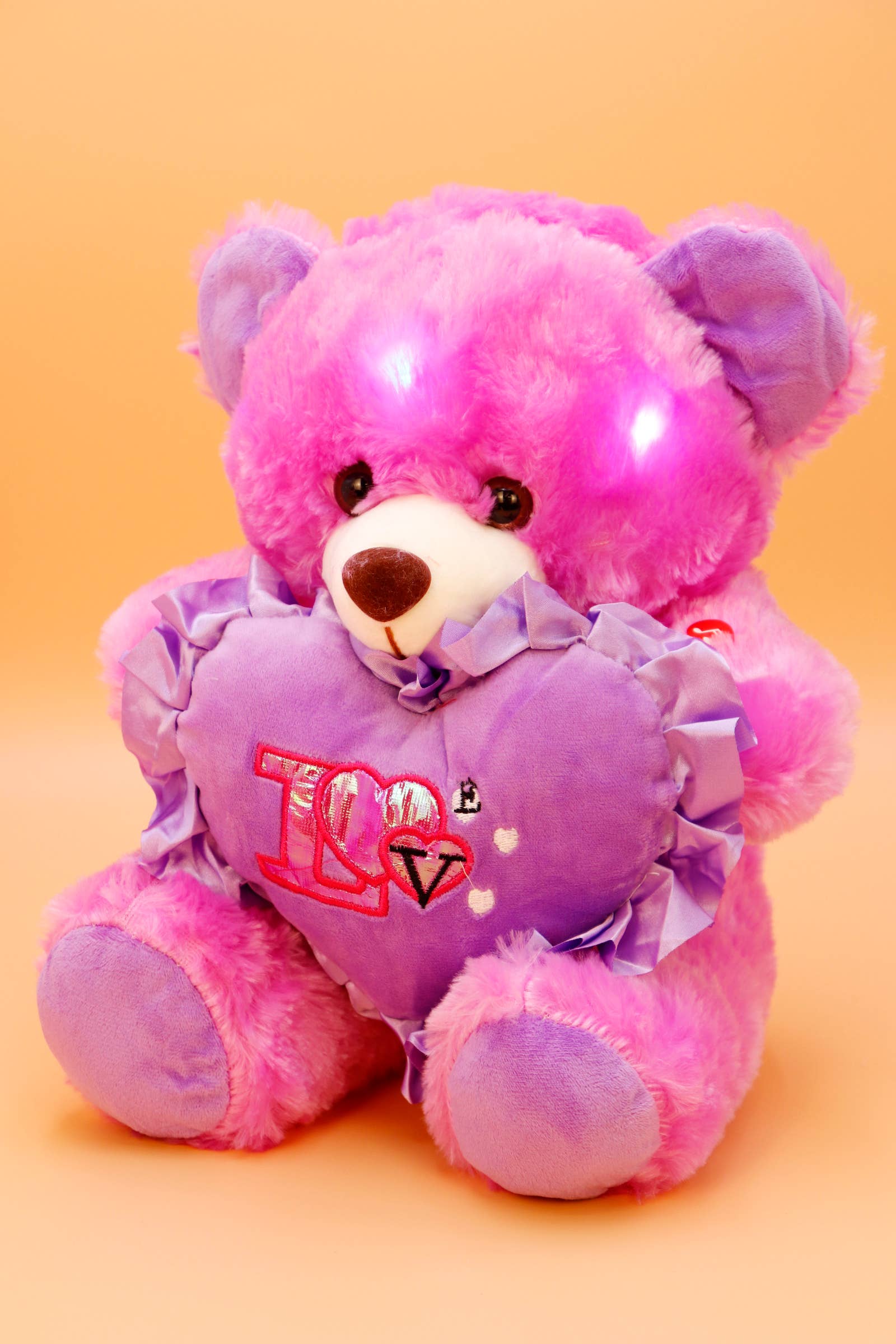 SURTIDO Osito de Peluche Musical Luminoso - 30 cm de venta al por mayor en Faire5