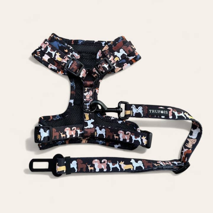 Cinturón de seguridad: 101 colas para venta al por mayor de Trufois