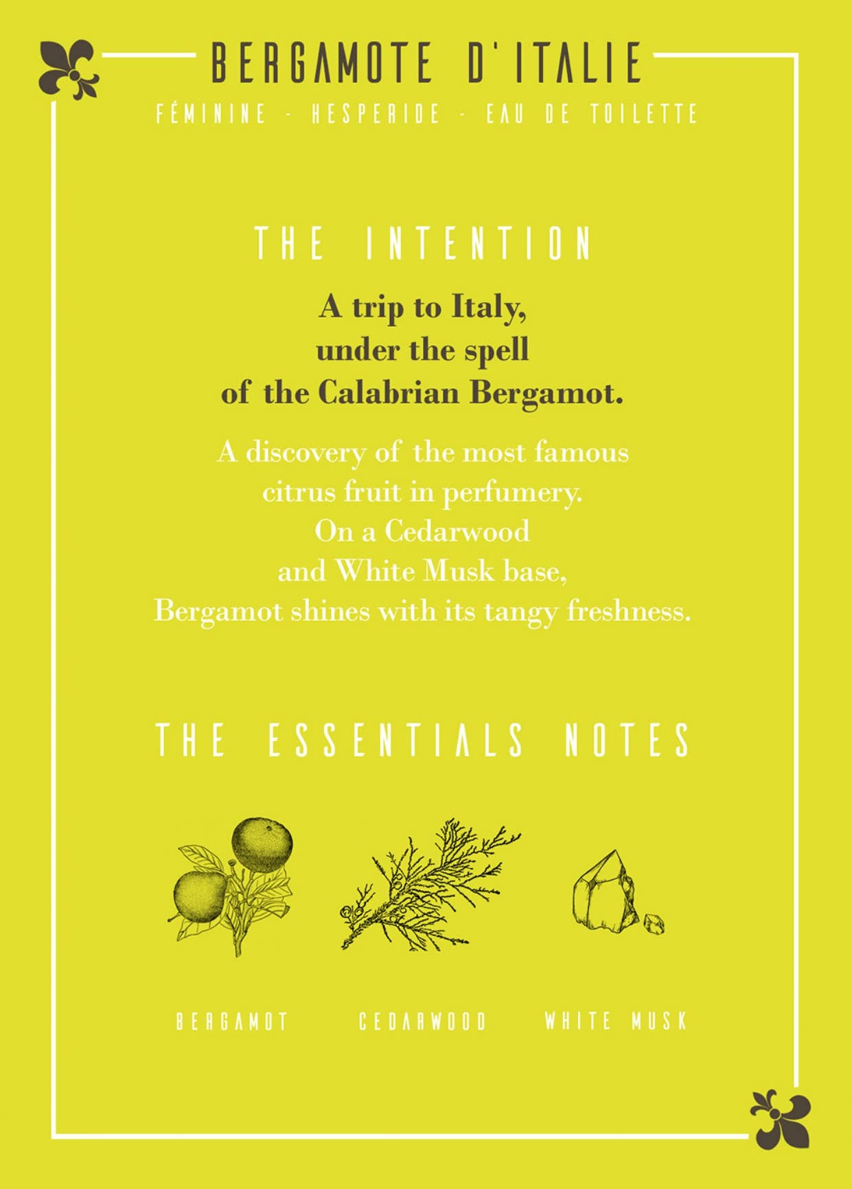 Les Parfums D'Uzège - Wholesale Perfume/Eau de Toilette - Italian Bergamot Eau de Toilette - 50ml3