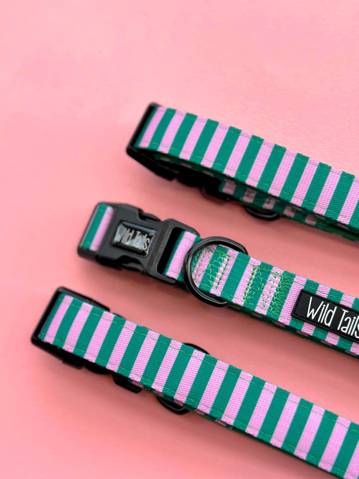 All Decked Out Collar for wholesale by Wild Tails Co