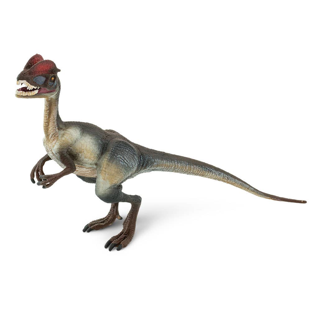 Safari Ltd. - Wholesale Figurine Toy - Kids - Dilophosaurus - 2878291