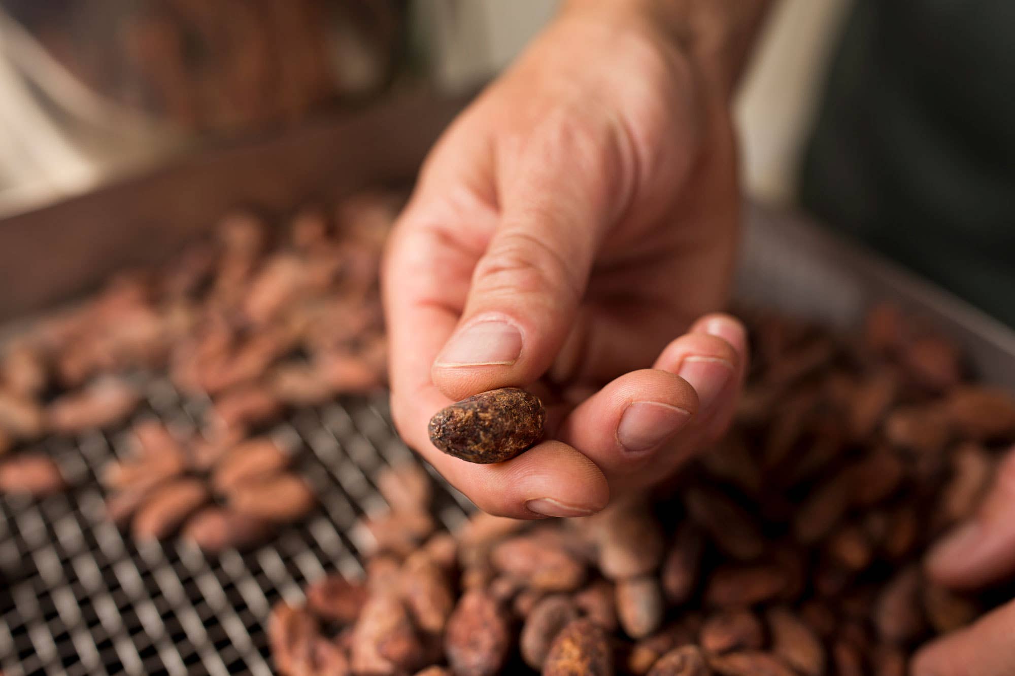 Goodnow Farms Chocolate - Wholesale Hot Cocoa Mix/Kit - 100% Cacao Powder, 8oz Retail3