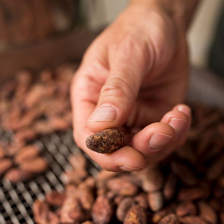 Goodnow Farms Chocolate - Wholesale Hot Cocoa Mix/Kit - 100% Cacao Powder, 8oz Retail3