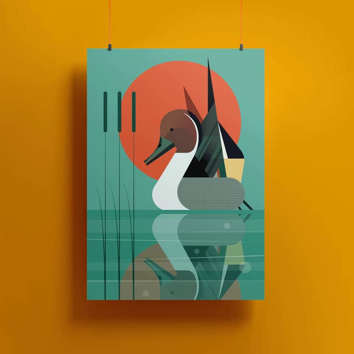 Mr Watson Design – wholesale Art print – Northern Pintail Duck - Retro print2