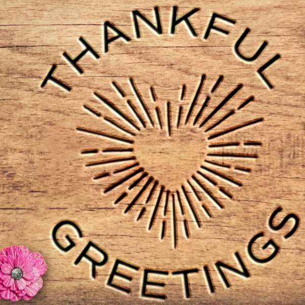 Thankful Greetings – wholesale Tändsticka – 2" Matches + Mini Cloche - Färger efter eget val + Strikers8