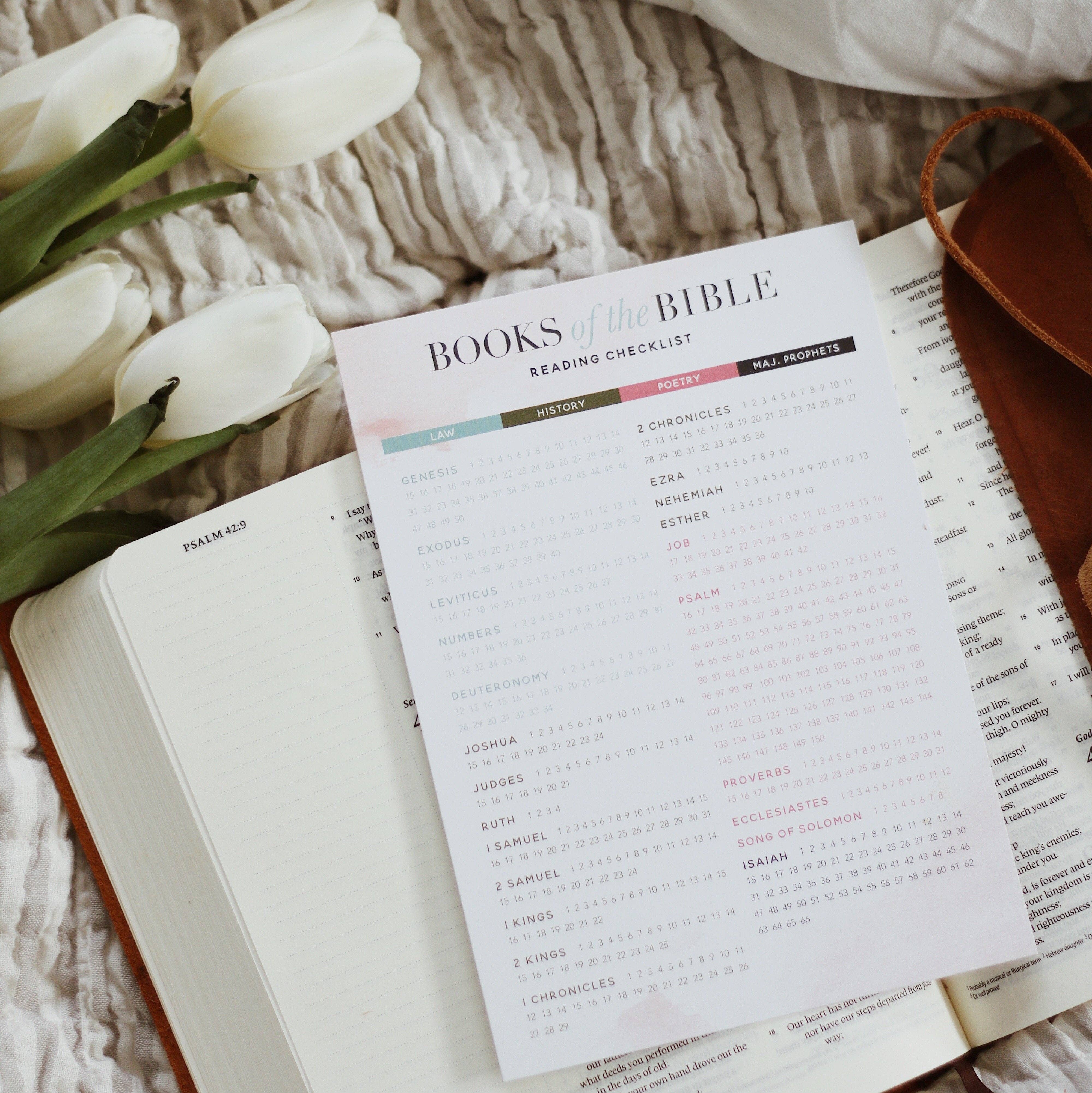 The Daily Grace Co - Wholesale Bookmark - Books of the Bible Reading Checklist0