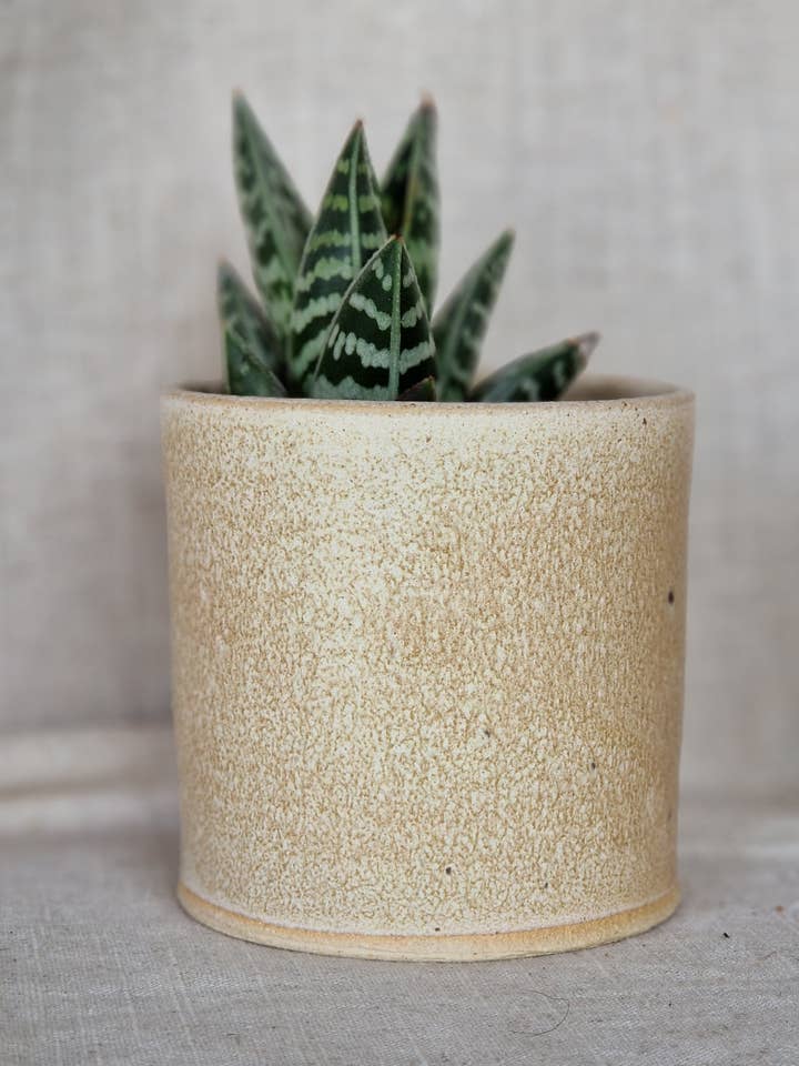 Cream Handmade Ceramic 8cm Plant Pot for wholesale by Charlotte Manser Ceramics