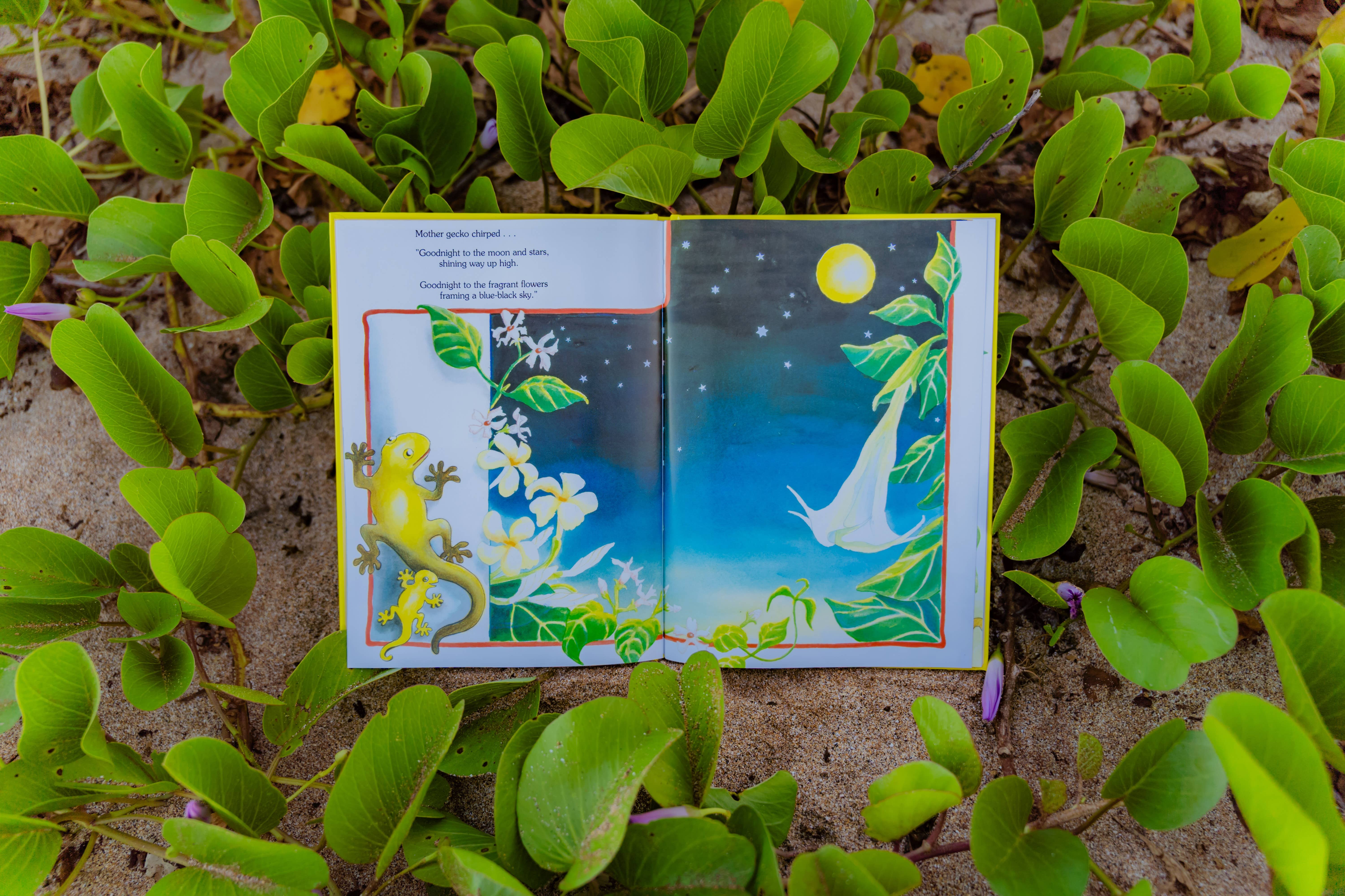 Hawaiian Children's Books - Wholesale Baby & Toddler Book (0-2) - The Goodnight Gecko 1