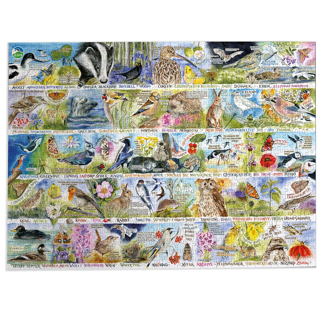 Gibsons Games Ltd – wholesale Puzzle – Adult – RSPB Birdsong & Bluebells 1000 Piece Jigsaw Puzzle8