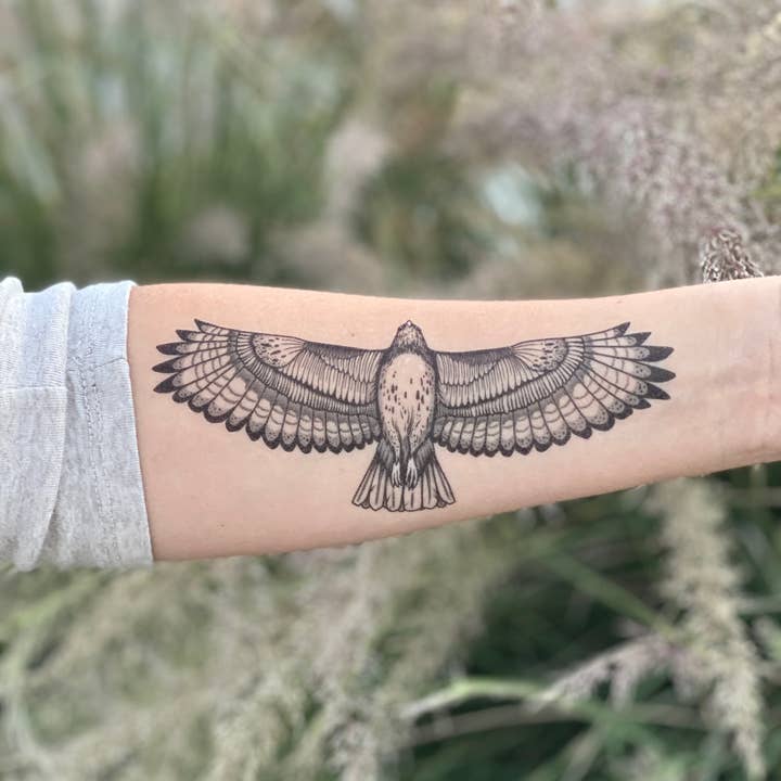 NatureTats - Wholesale Tijdelijke tattoo - Hawk tijdelijke tatoeage