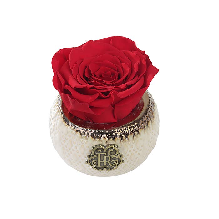 Eternal Roses® - Wholesale Artificial Flowers - Mini Soho Classic Eternal Luxury Rose11