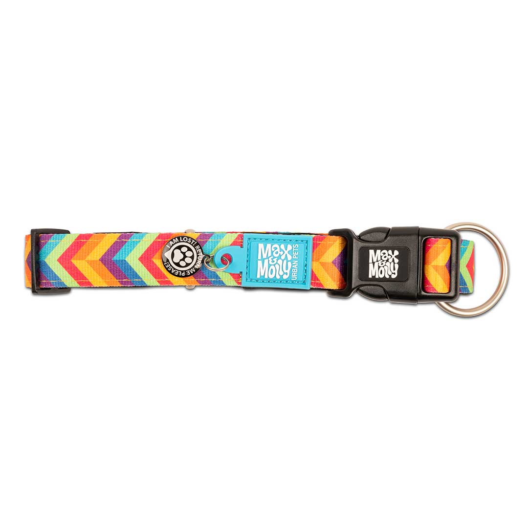 Max & Molly - Wholesale Pet Collar - Dog - GOTCHA! Smart ID Dog Collar - Summertime3