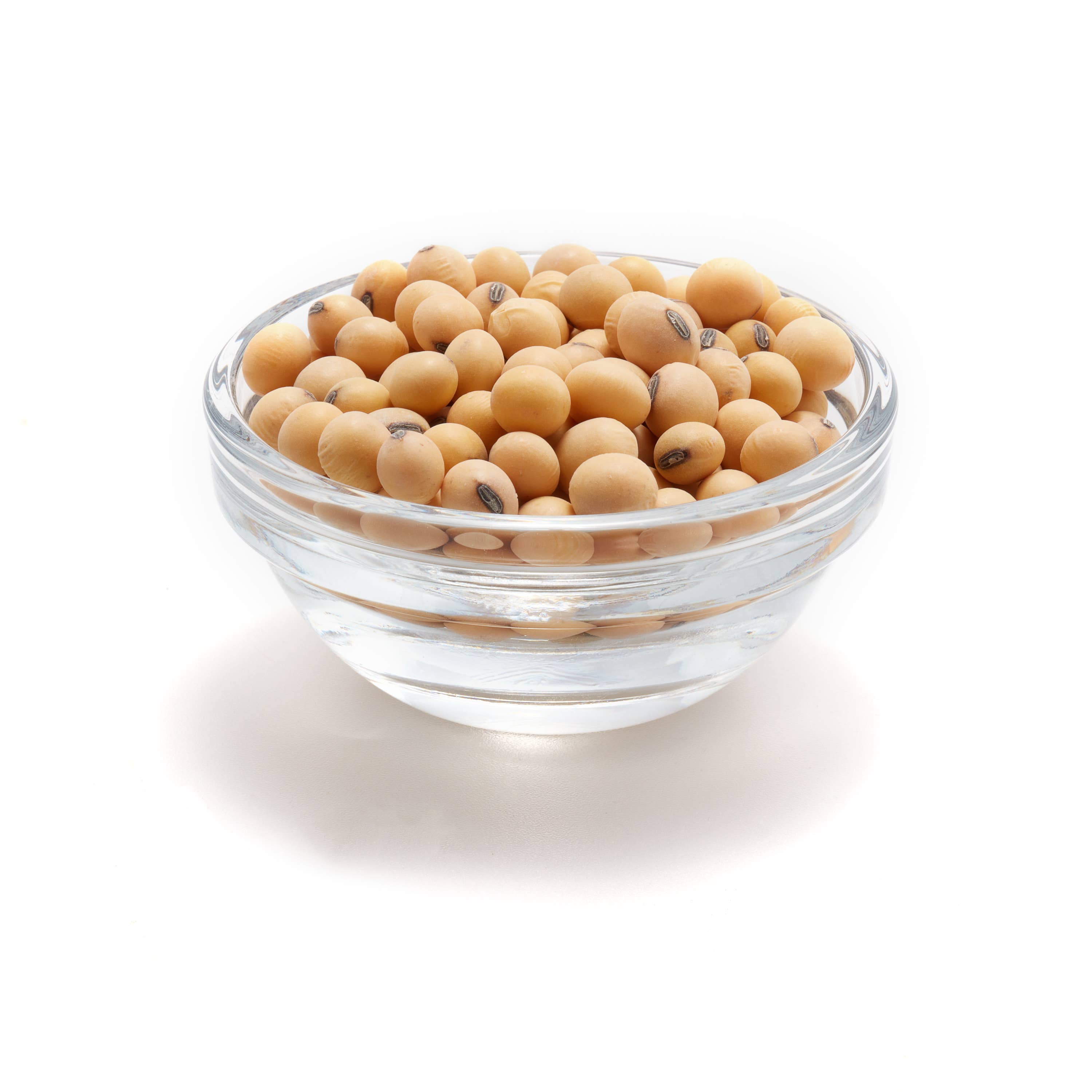 Tootsi Impex - Wholesale Beans - Organic Raw Soya Beans, 55.12 lbs2