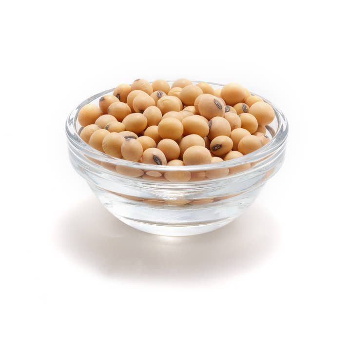 Tootsi Impex - Wholesale Beans - Organic Raw Soya Beans, 55.12 lbs2