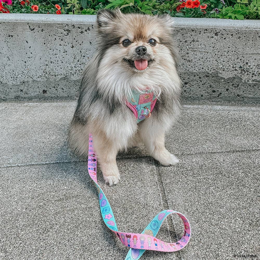 SASSY WOOF - Wholesale Pet Leash - Dog - Dog Leash - Polly Pocket™8