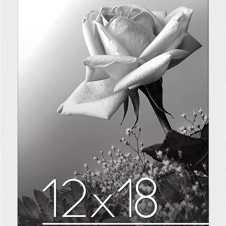 Americanflat - Wholesale Picture Frame - Americanflat Poster Frame with Wide Molding93