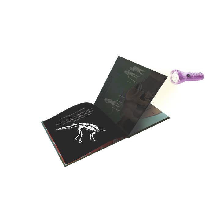 EDC Publishing - Wholesale Preschool Book (3-5) - Shine-A-Light: Dinosaurs6