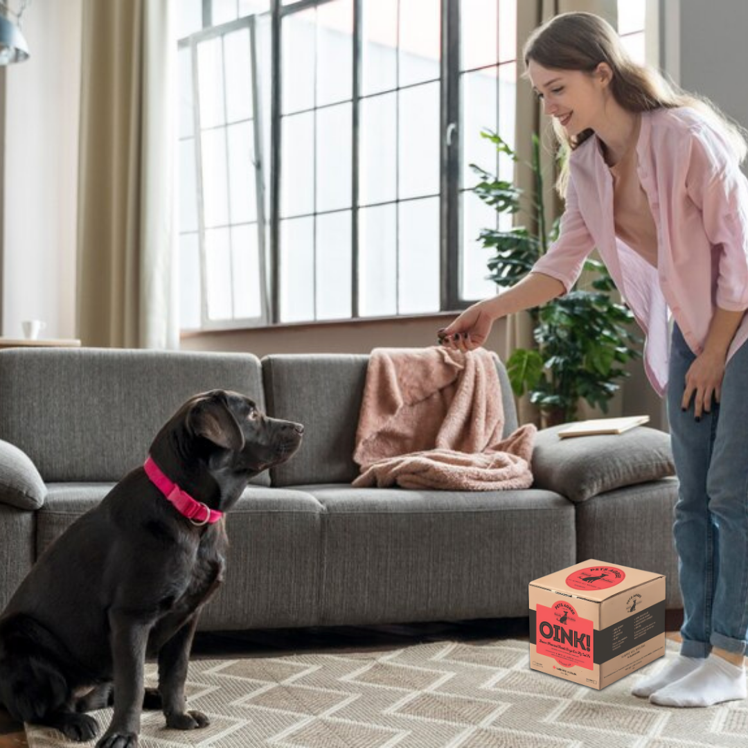 The Granville Island Pet Treatery (USA) - Wholesale Pet Treats - Dog - Bacon Large Dog Biscuits: Crunchy & Teeth Cleaning 2lb3