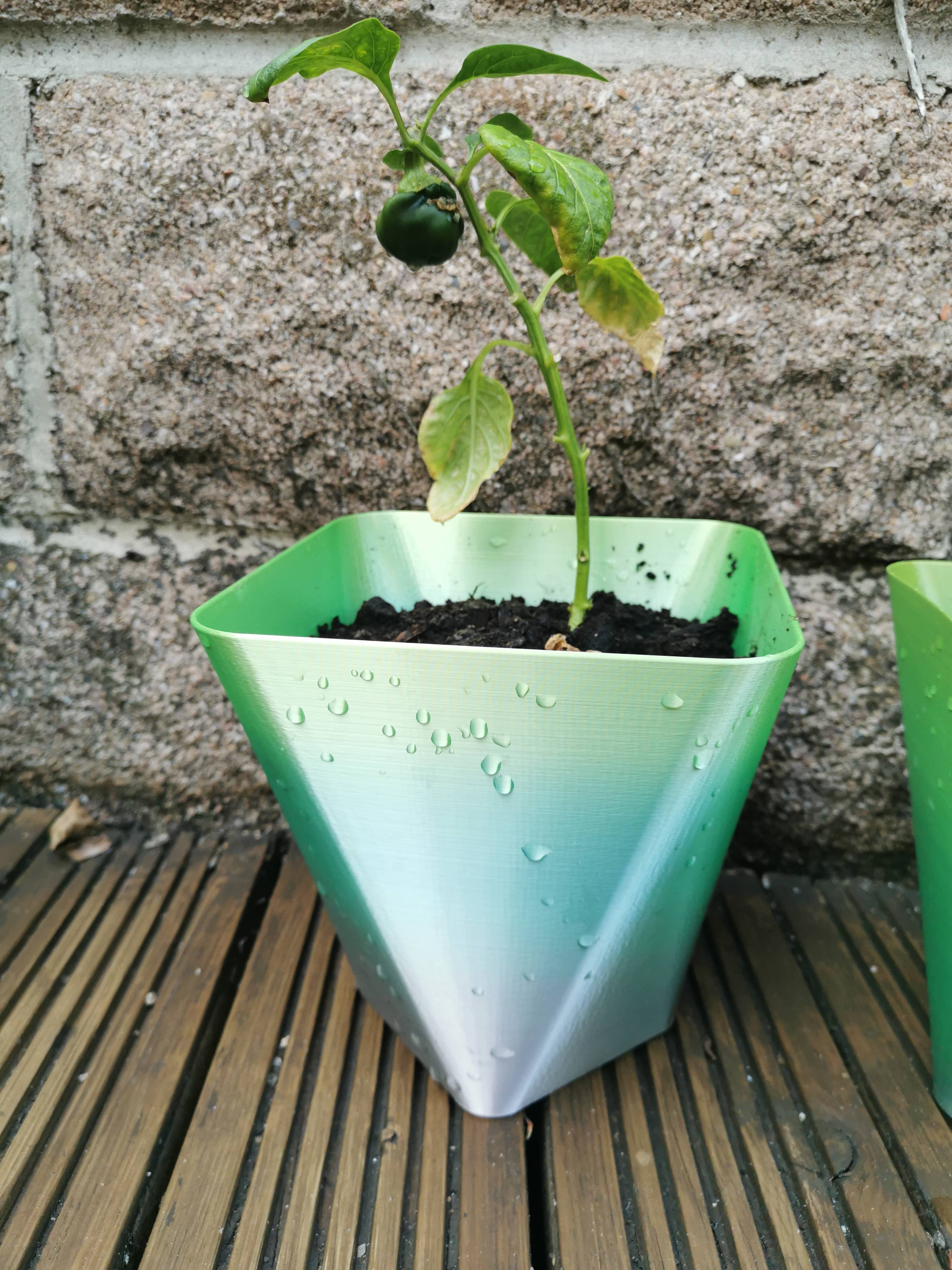 Exclusiv3D Ltd – Engroshandel Plantekrukke – 18cm Regnbue Plante Pot Square2