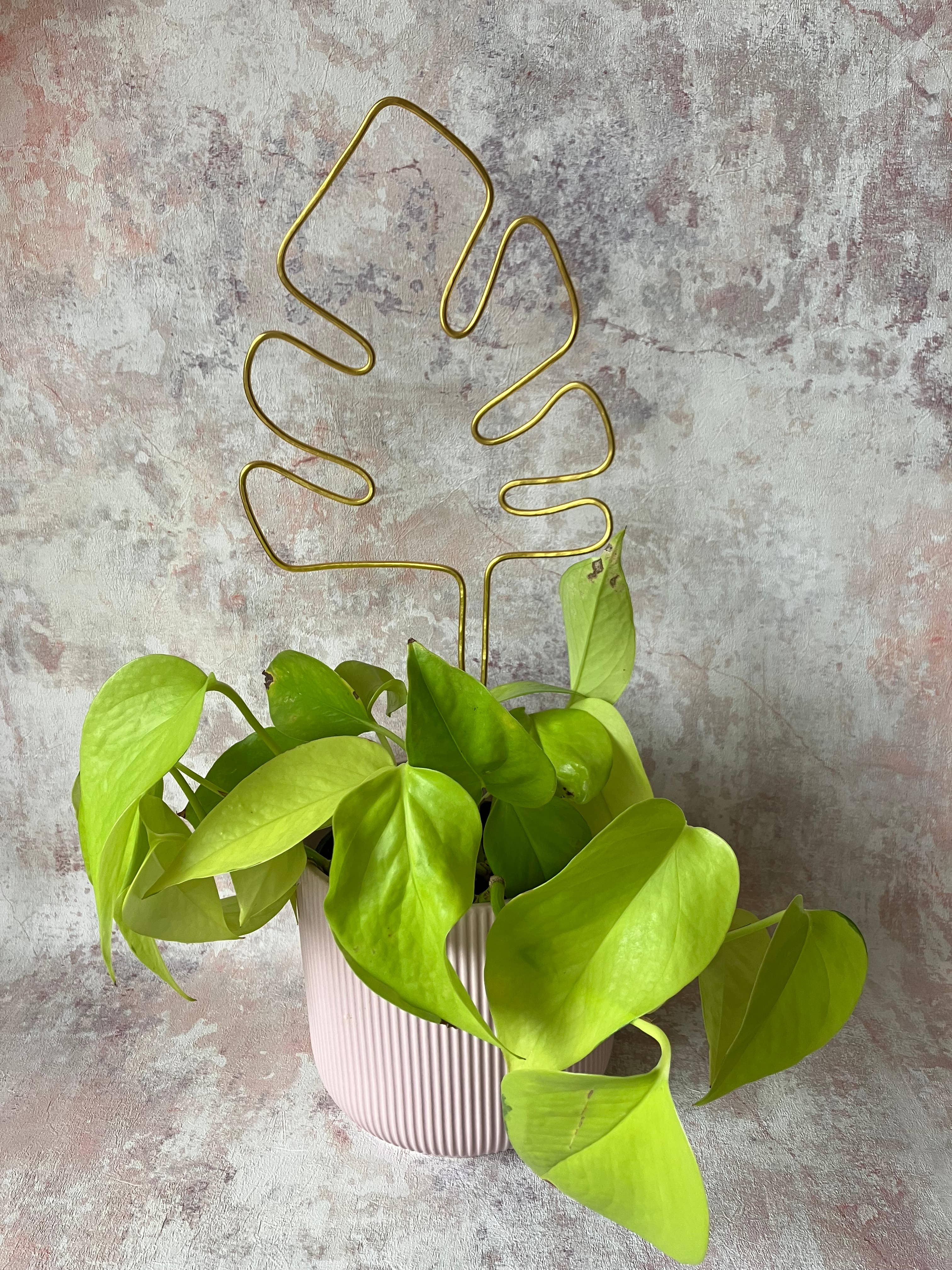 Piece by Jackson - Wholesale Trellis - Monstera Leaf Plant Support3