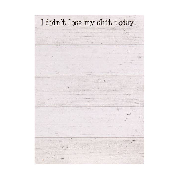 Col House Designs - Wholesale Notepad - I Didn't Lost My Shit Today! Mini Notepad