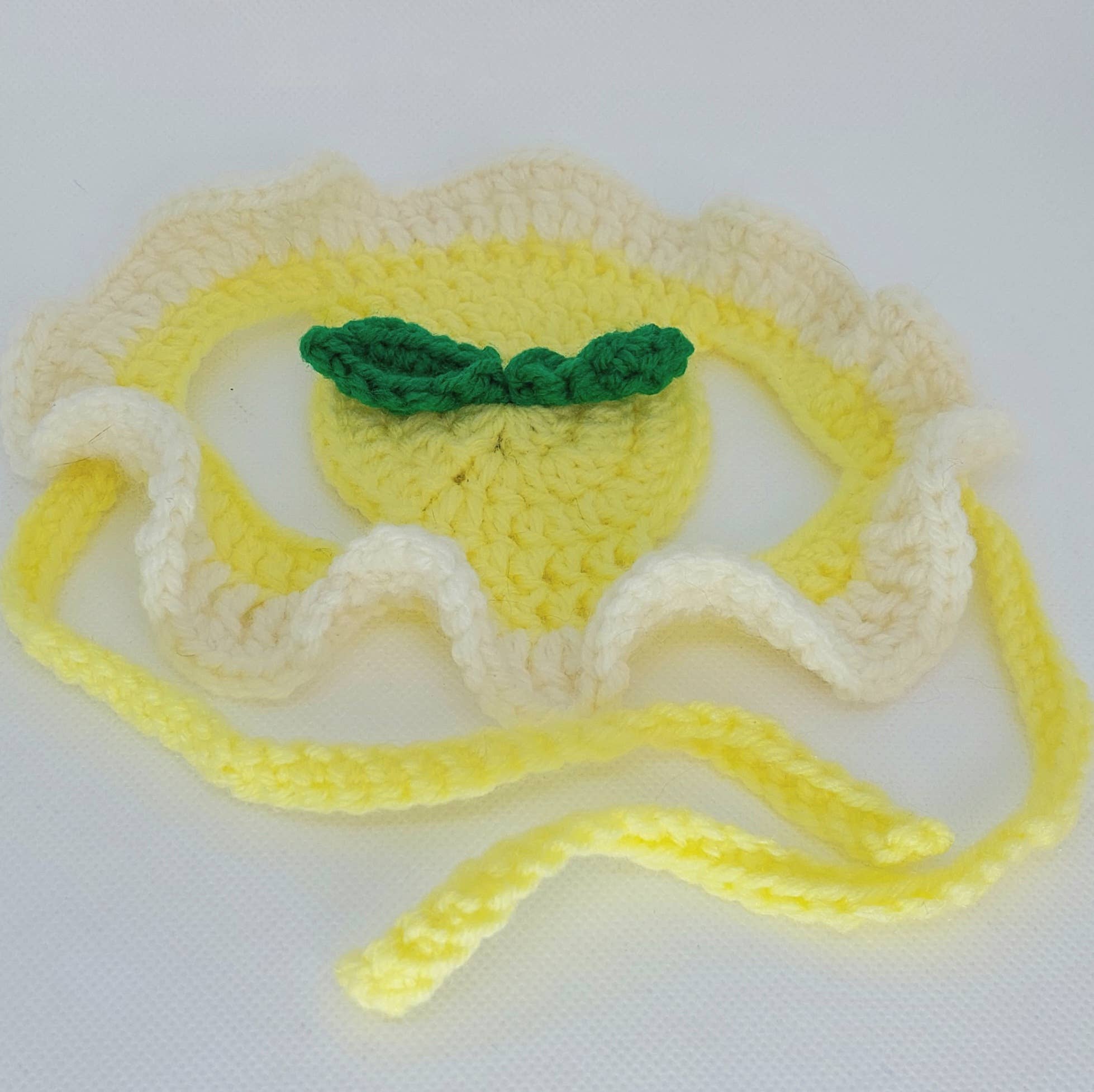 Glitter Ghost Clothing and Accessories - Vente Chapeau – chien - Chapeau citron au crochet - Bonnet pour chat - Bonnet pour animal de compagnie10