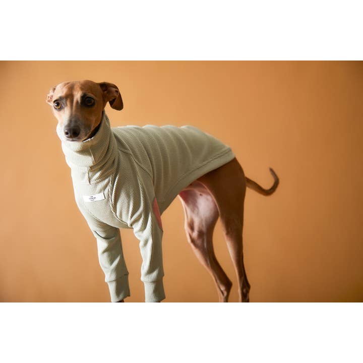 The Striped Dog - Vendita all'ingrosso Maglione - Cani - Maglione dolcevita a costine con levriero italiano/Whippet TULERIE