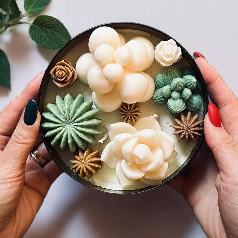 Karly’s Candles – Großhandel Geschenkkerze – Kaktus & Sukkulenten Sojakerze - Geschenk für Pflanzenliebhaber0