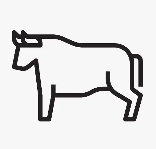 Berbician Canada - Wholesale Beef - Sirloin Beef Steaks3