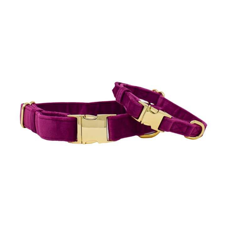 August Dog Collar | Purple Dog Collar | Dog Collar for wholesale by Pink Papyrus | Premium, Durable, & Stylish Dog Products