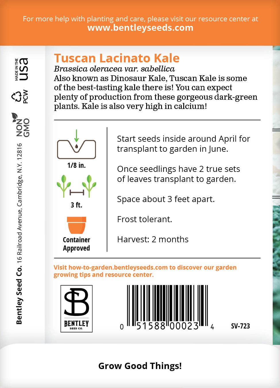 Bentley Seed Co. - Vente Graines de plantes - Chou frisé, paquets de graines de Lacinato1