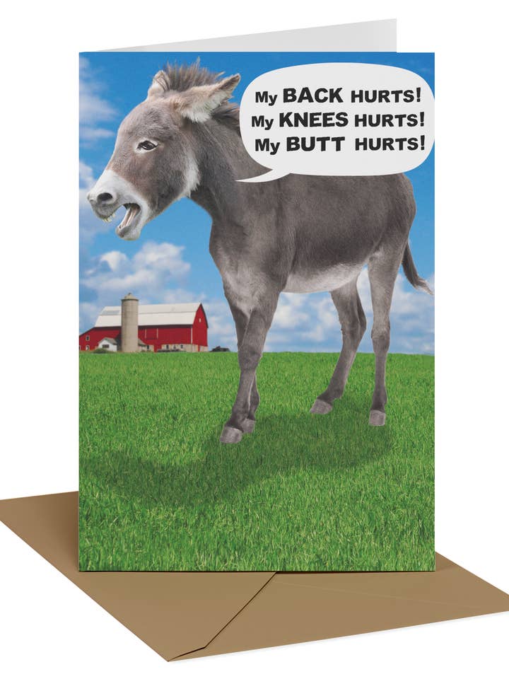 Birthday Humorous | AGRP | SM | 7261693 for wholesale by DICKENS INC.