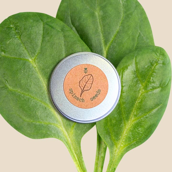 Plantflix - Wholesale Plant Seeds - Organic Vegetable Seed Gift Tins6