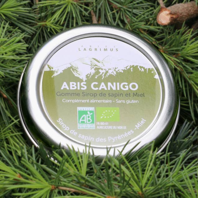 ABIS CANIGO - Organic Fir tree gums for wholesale by ABIES LAGRIMUS