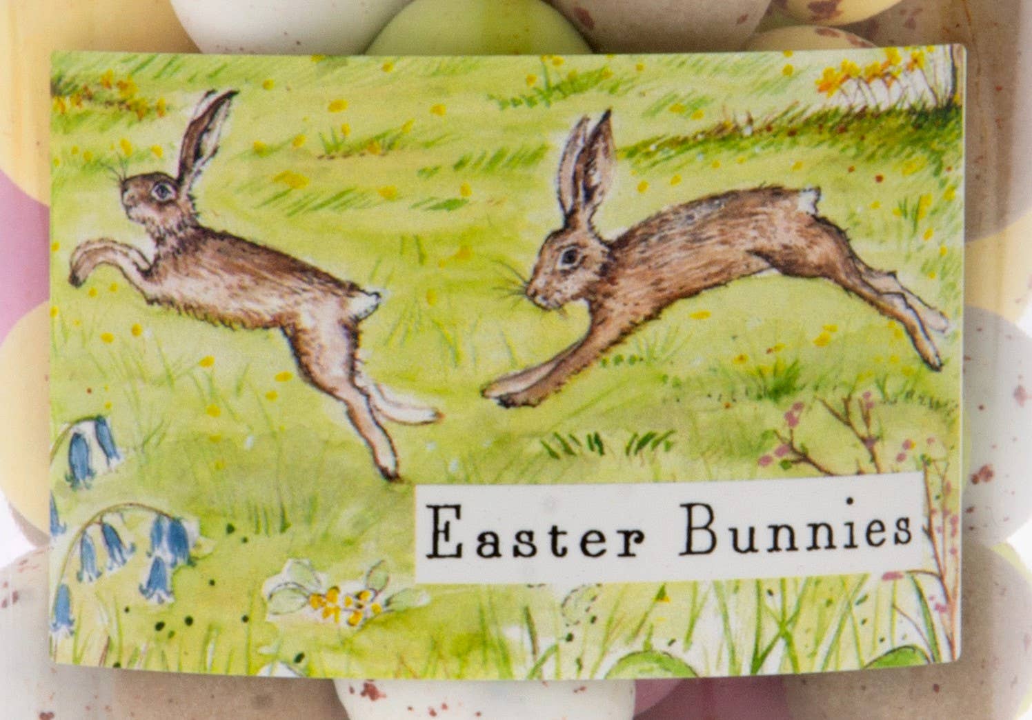 Candyhouse Ltd - Wholesale Chocolate Covered Sweets - Speckled Eggs in Glass Bottle4