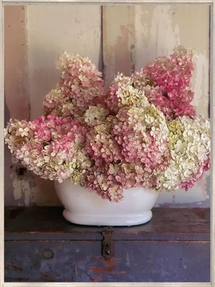 Strawberry Shortcake for wholesale by Jill Mason Art