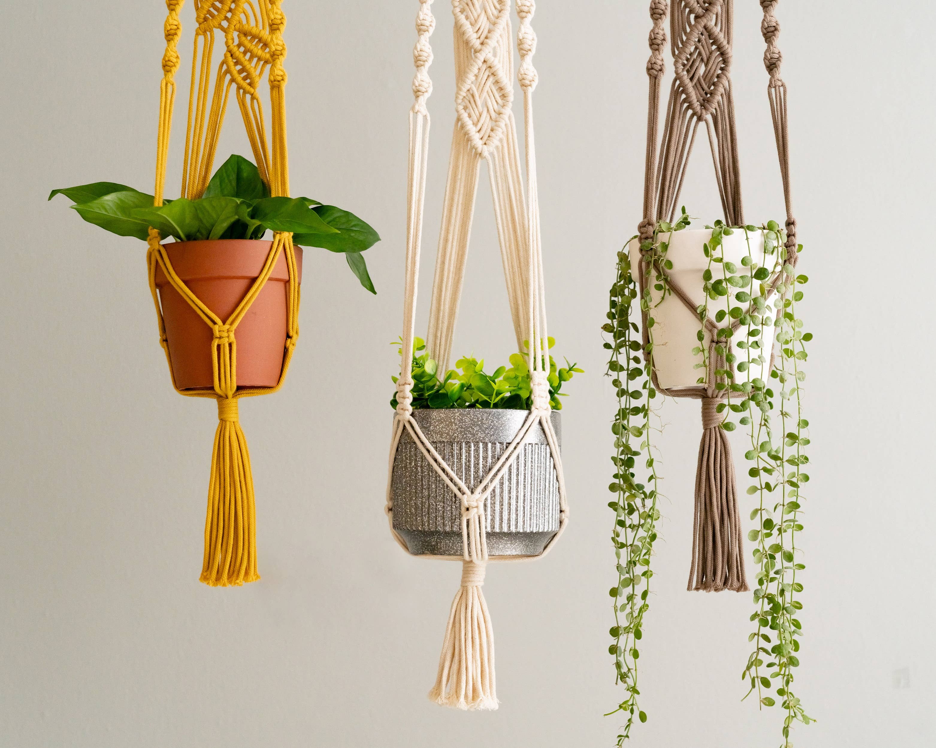 BeanDaikon – wholesale Hanging planter – Macrame Plant Hanger I718