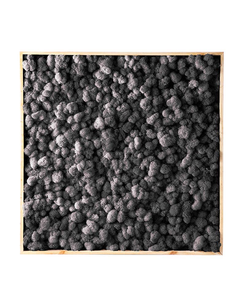 SuperMoss - Wholesale Wall Accent - Vertical Gardens - Reindeer Moss Walls3