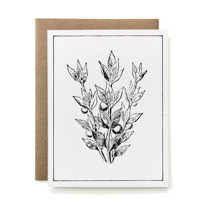 100% Recycled B&W Botanical Card - Butcher's Broom Branch for wholesale by Knapping Press