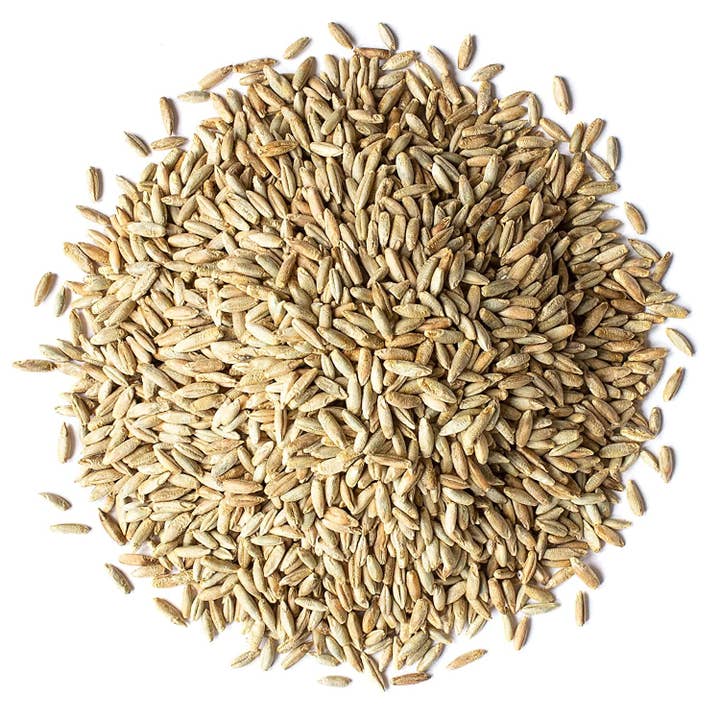 Food To Live – wholesale Plant seeds – Organic Rye Berries – Raw, Bulk Seeds, Product of the USA