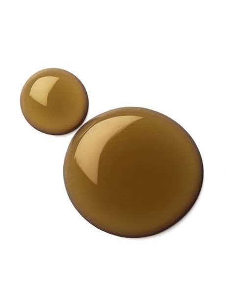 Musky Chocolate for wholesale by Oilogy