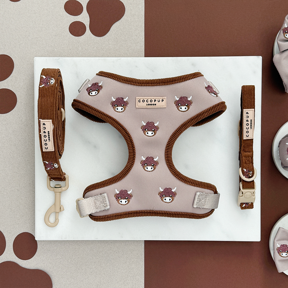 Cocopup London - Wholesale Pet collar – Dog - Harold the Highland Cow COLLAR2