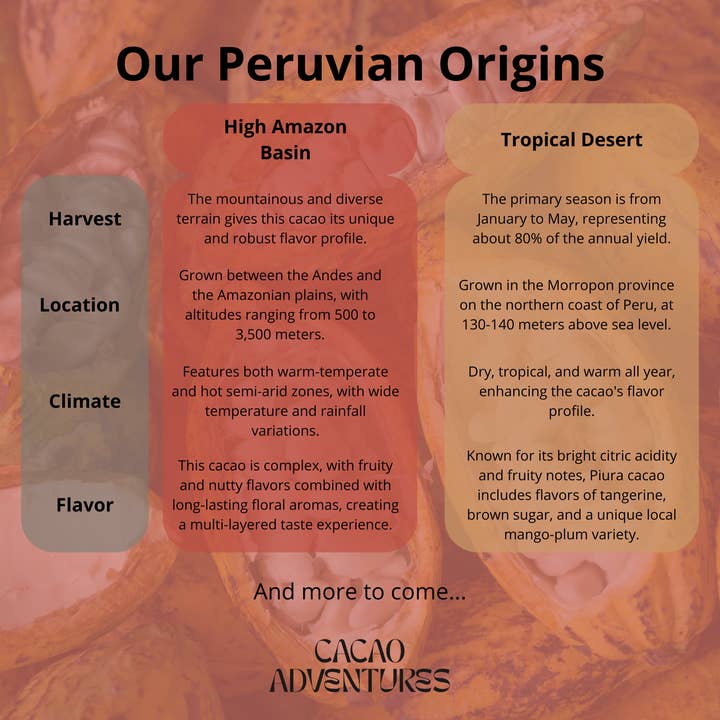 Cacao Adventures - Wholesale Baking chocolate - Tropical Desert Ceremonial Cacao2