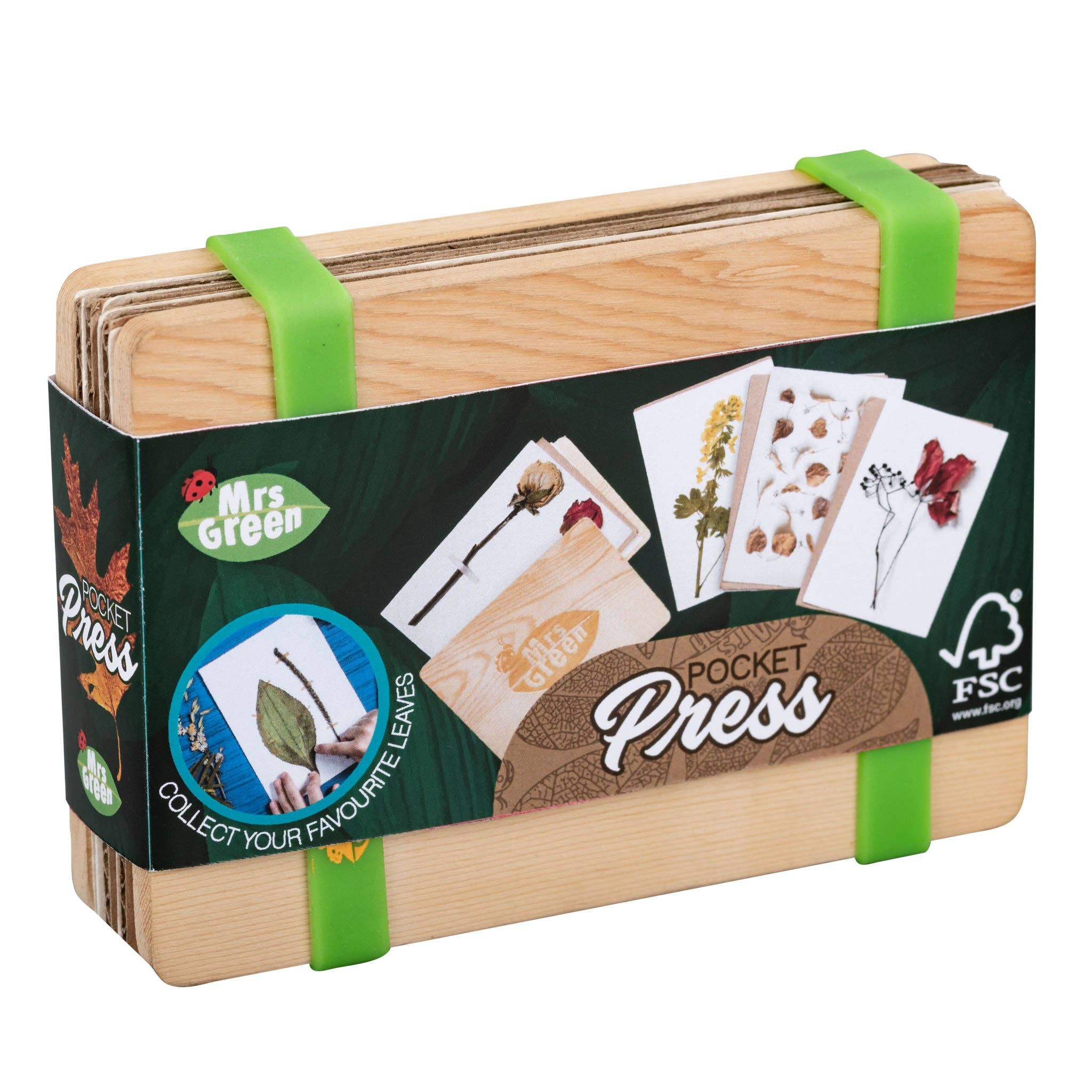 Heebie Jeebies USA - Wholesale Dried/Pressed Flowers - Flower Press Small6