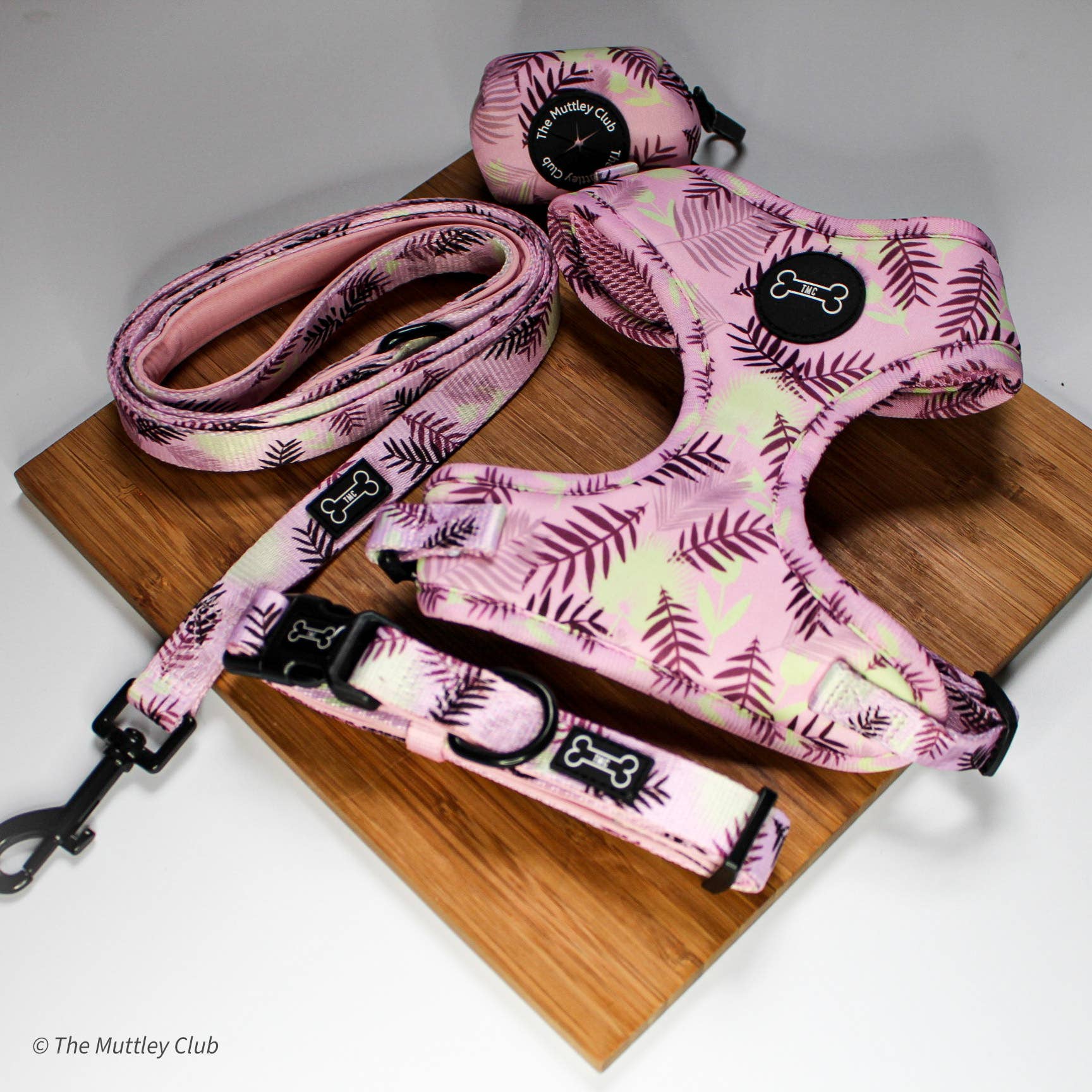 The Muttley Club - Wholesale Pet Leash - Dog - Palm Springs Lead1