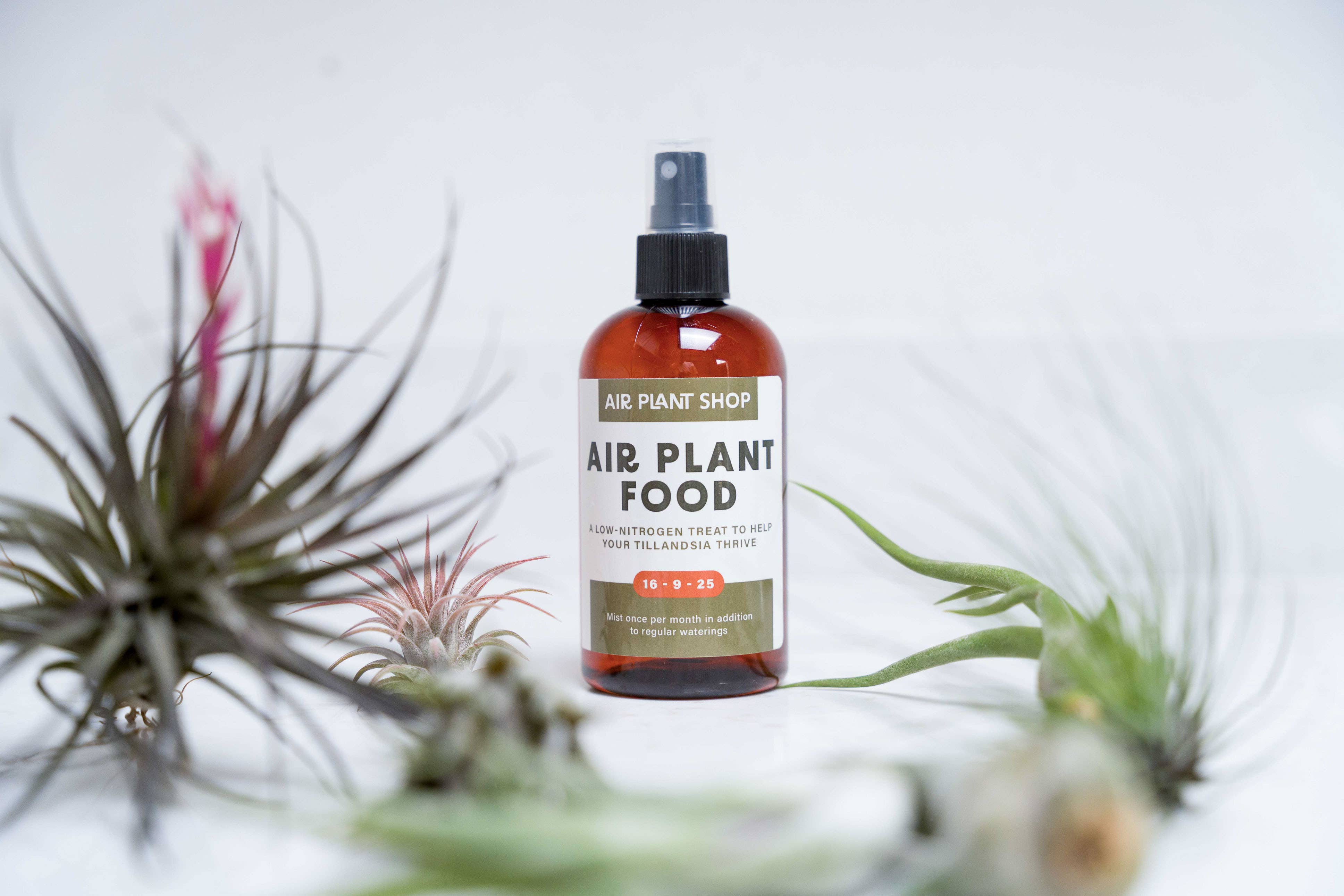 Air Plant Shop - Wholesale Fertilizer - Ready-To-Use Tillandsia Air Plant Fertilizer2