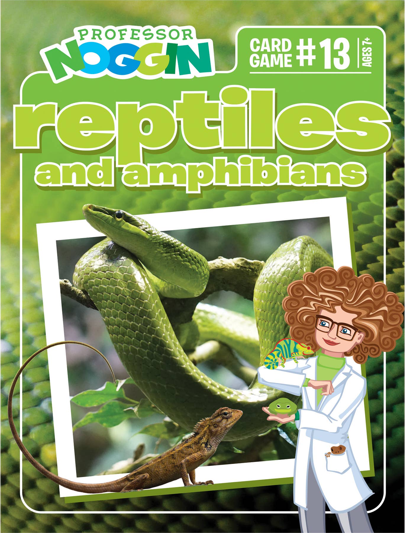Outset Games and Cobble Hill Puzzles - Wholesale Card Game - Prof. Noggin Reptiles and Amphibians Card Game1