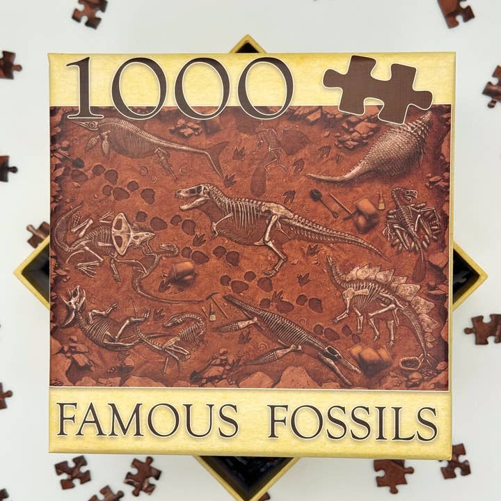 Montrose Biology – Engroshandel Puslespil - Voksen – "Berømte Fossiler" Palæontologi Puslespil (1k)1